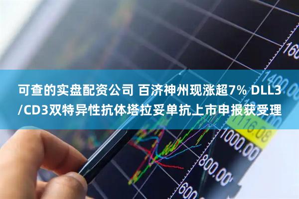 可查的实盘配资公司 百济神州现涨超7% DLL3/CD3双特异性抗体塔拉妥单抗上市申报获受理